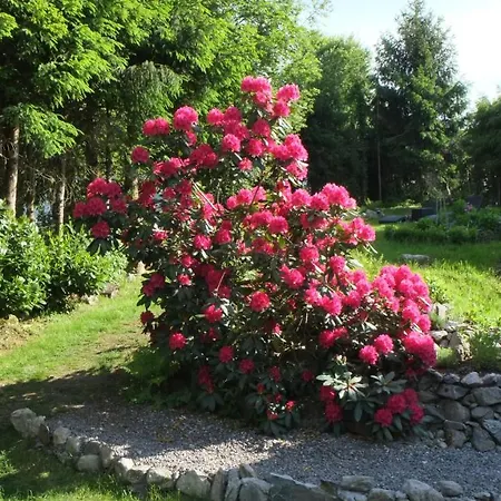 Am Birkenhain Chalet