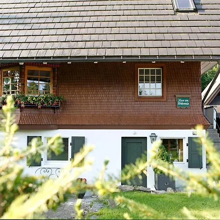 Am Birkenhain *