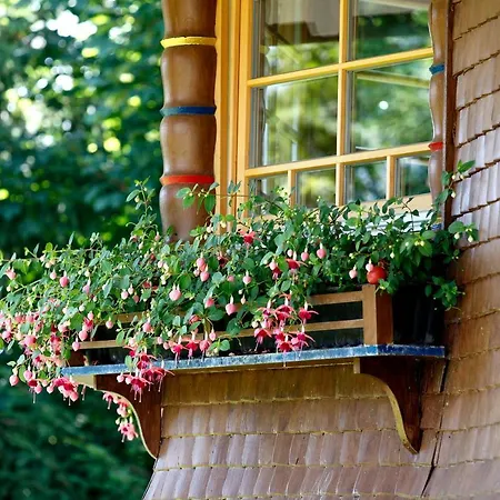 Am Birkenhain 木屋 *