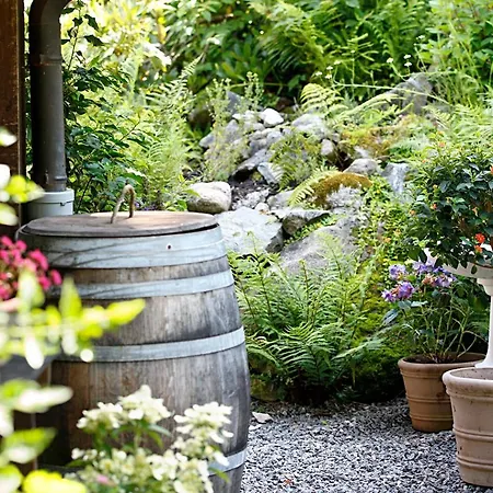 木屋 Am Birkenhain *