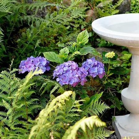 木屋 Am Birkenhain